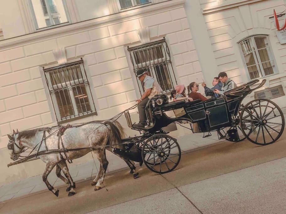 Vienna Citycenter+Terrace+Parking Dış mekan fotoğraf